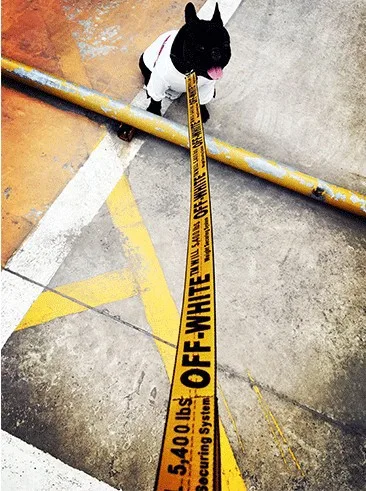 Поводок для домашних животных подходит маленьких собак таких как бульдог