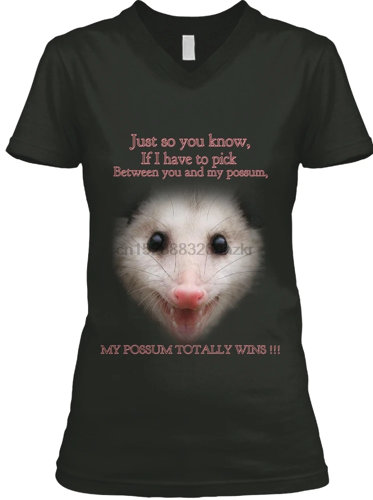 Мужская футболка posum WINS женская и |