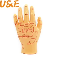 15cm human acupuncture palm model hand medical model meridian acupoint reflex zone massage model chinese medical teaching models