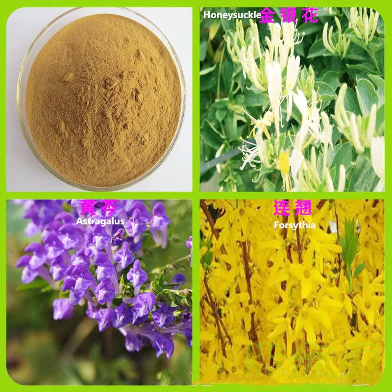

500g Double Coptis chinensis (Shuanghuanglian) extract powder ,health poultry ,pig, chicken, duck, goose, mix feed, water
