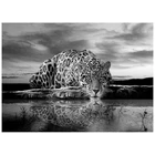 5D квадратная круглая алмазная живопись 