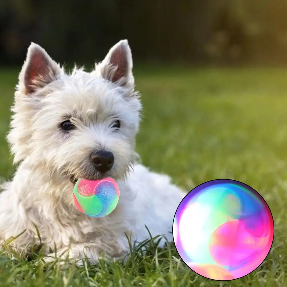 

Dog Toy Interactive Rubber Balls Elasticity Ball Srength Strengthening Gingival Teeth Elasticity Pet Dog Cat Puppy Chewing Toys