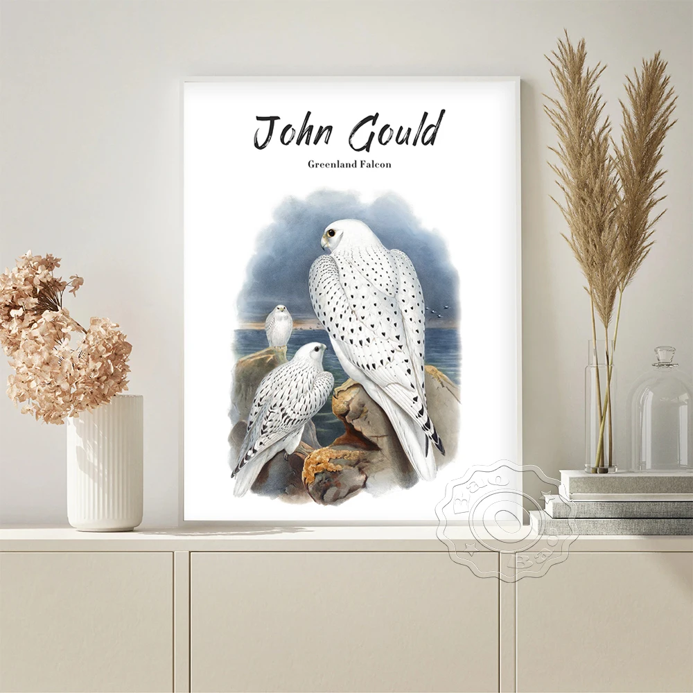 

John Gould Exhibition Bird Museum Poster Greenland Falcon Retro Wall Art Canvas Painting Living Room Vintage Prints Decor Gift