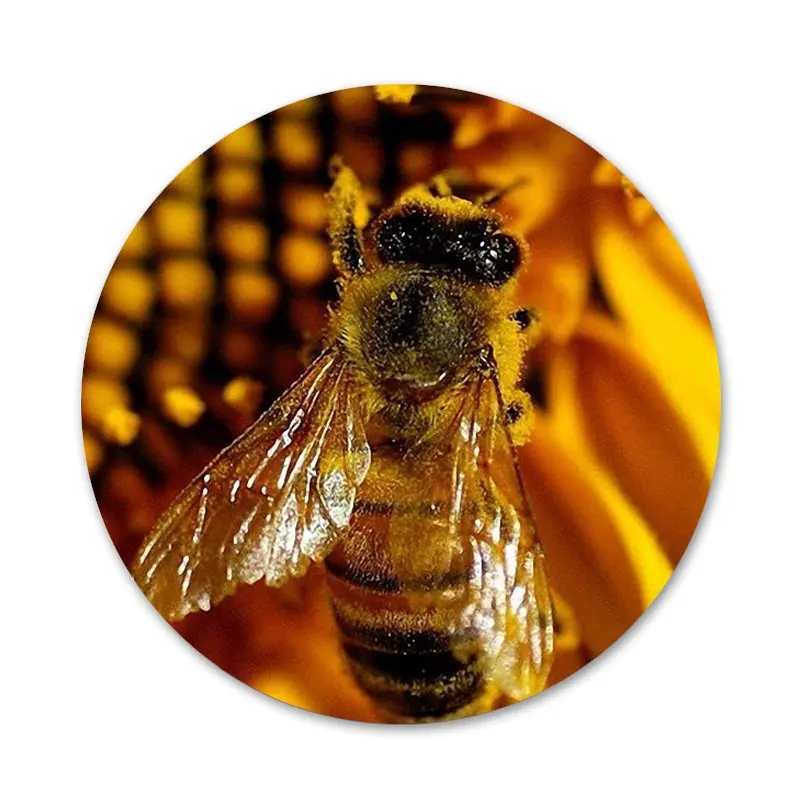 Значки с золотыми сотами медовыми пчелами значки металлические для украшения