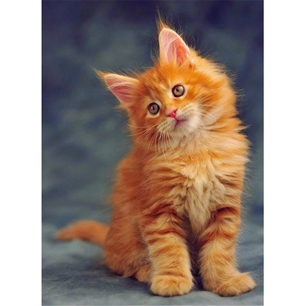 

Набор для алмазной мозаики «сделай сам», 3d-вышивка с мотивами животных, котов, пейзажей, рождественский подарок, домашний декор, интерьер