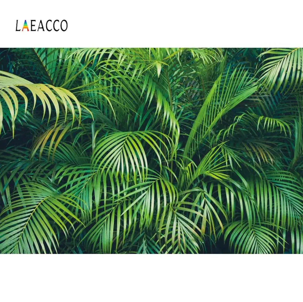 Фоны Laeacco для фотосъемки в джунглях зеленые листья пейзаж тропический портрет