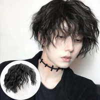 dianqi males wig short curly black synthetic wigs with bangs for men women boy fake hair