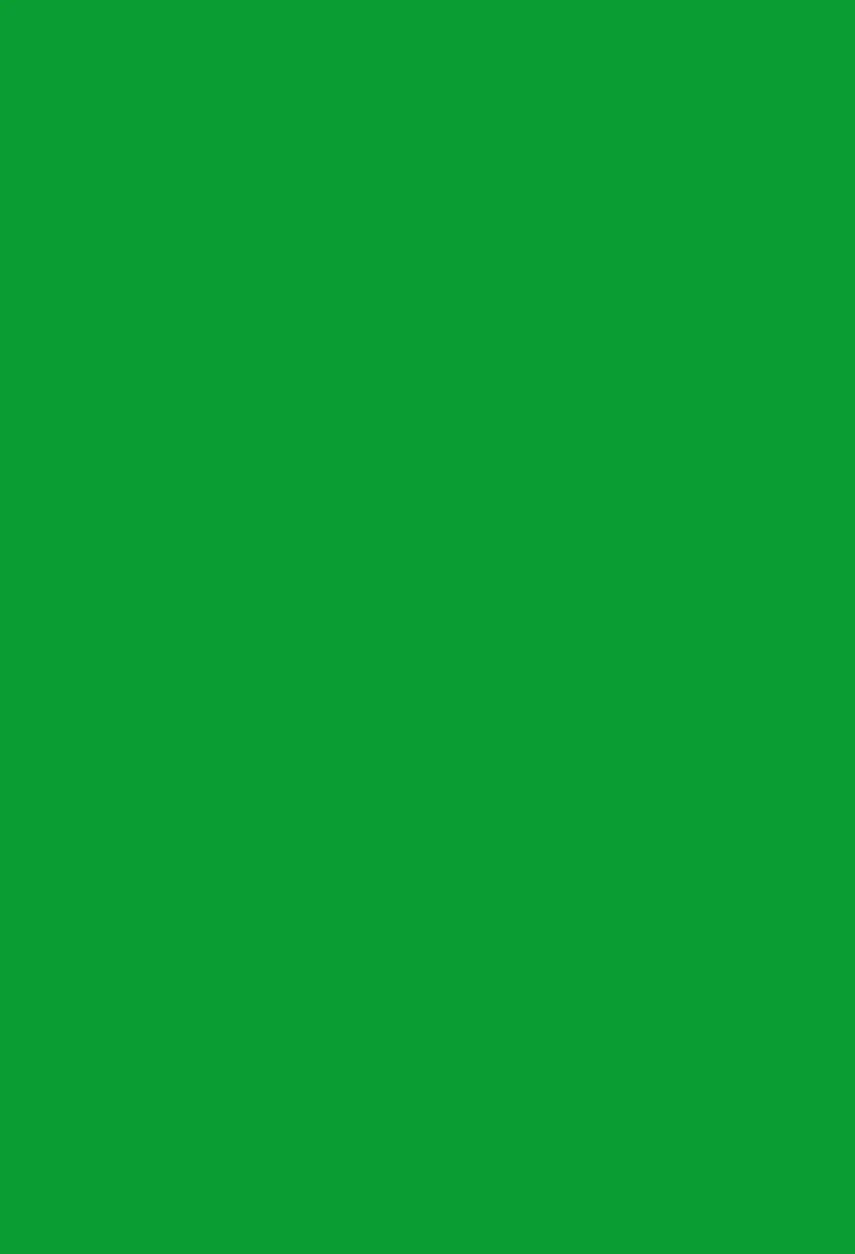 VinylBDS  Green Solid Color Photocall Background Photography  Background Fotografie Achtergronden