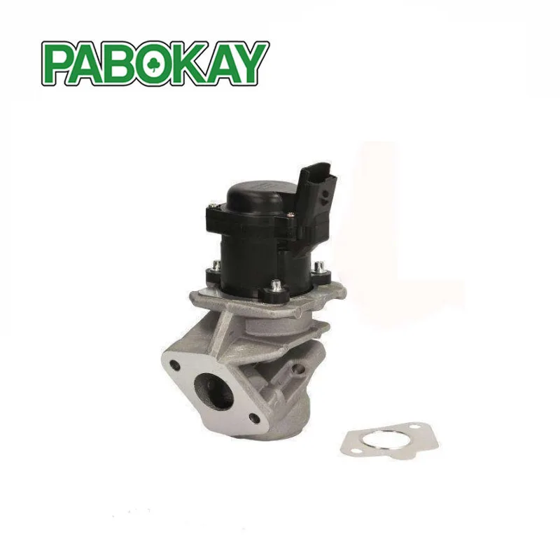 

For Peugeot 206 207 307 308 407 1.6 HDI EGR Valve 1618.NR 161859 6NU010171-101 1618.59 9685640480 1618NR 1338675 5S6Q9D475AA