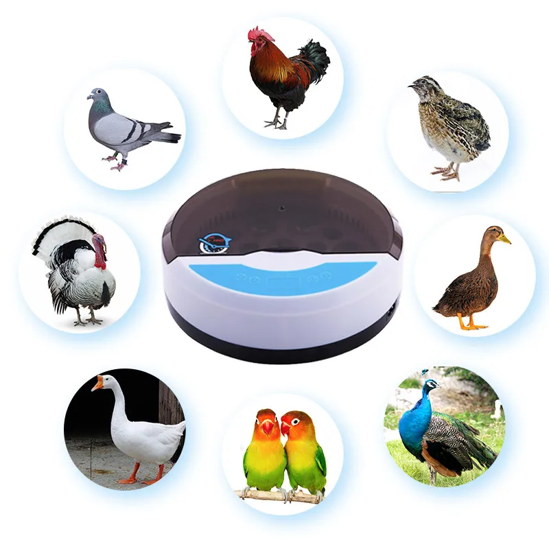 

HHD Best Egg Incubator Farm Hatcher Brooder Machine 9Egg LED Temperature Humidity Control Bird Quail Chicken Incubator Automatic