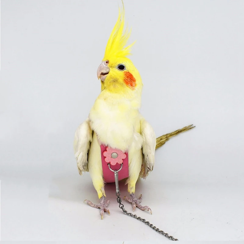 Бархатный кожаный подгузник AAAK Bird с поводком веревка для тараканов голубей