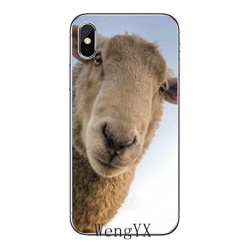Мягкий силиконовый чехол для телефона с милой овечкой iPhone 11 Pro XS Max XR X 8 7 6 6S Plus 5 5S SE