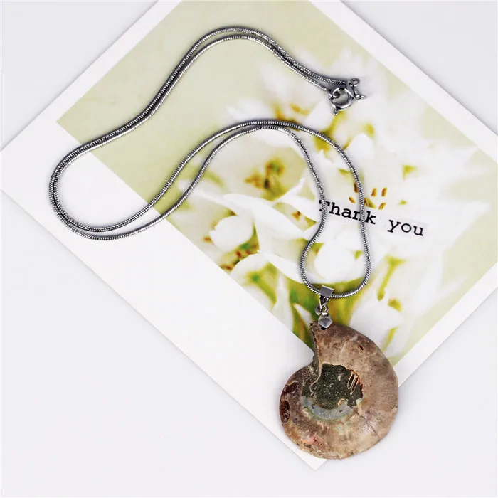 Аммонит Ископаемых Камень Инкрустация Кулон Neckalces Цепи Змейки Исцеление Чакра
