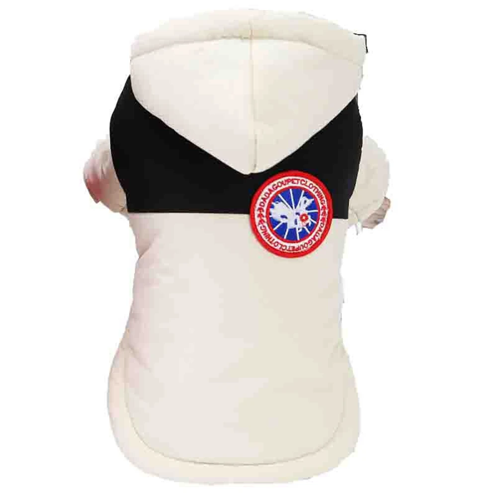 Четырёхцветные детские толстовки для щенков чихуахуа | Дом и сад