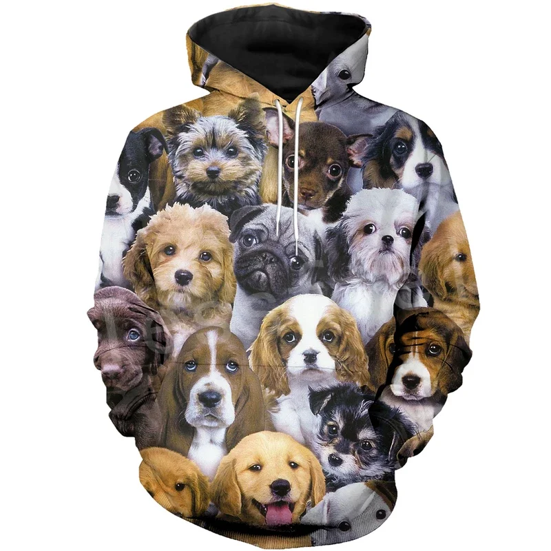 Тренировочный костюм для мужчин и женщин с 3D принтом|Мужские толстовки свитшоты|