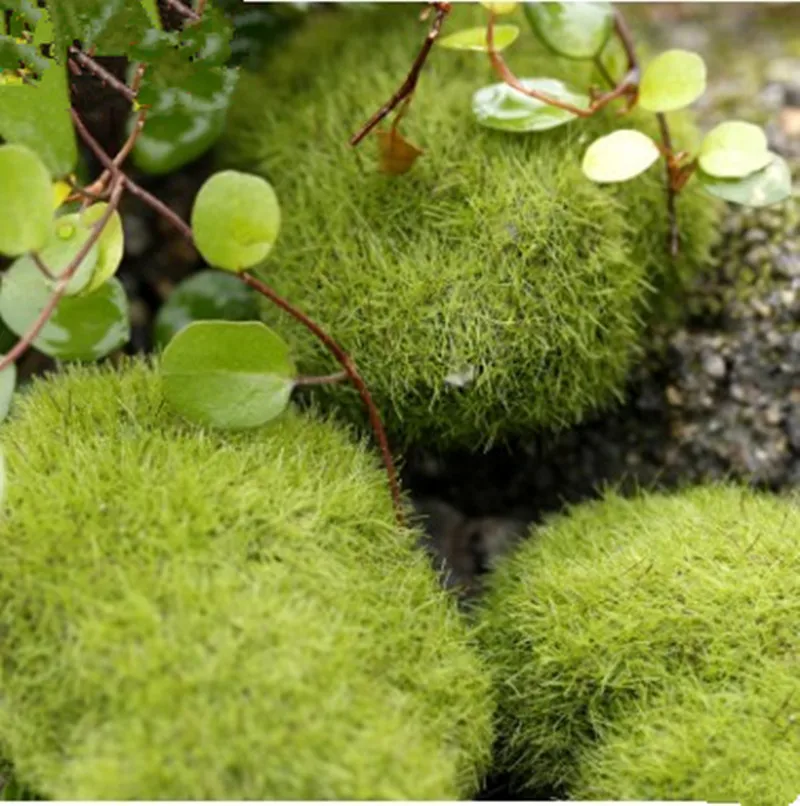 DIY мини микро пейзаж искусственный газон домашний декор миниатюрное украшение