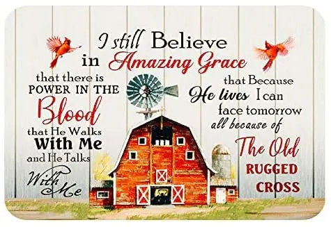 

Vintage Metal Signs Cardinal Bird and Windmill I Still Believe in Amazing Grace Bedroom Wall Decoration Tin Signs