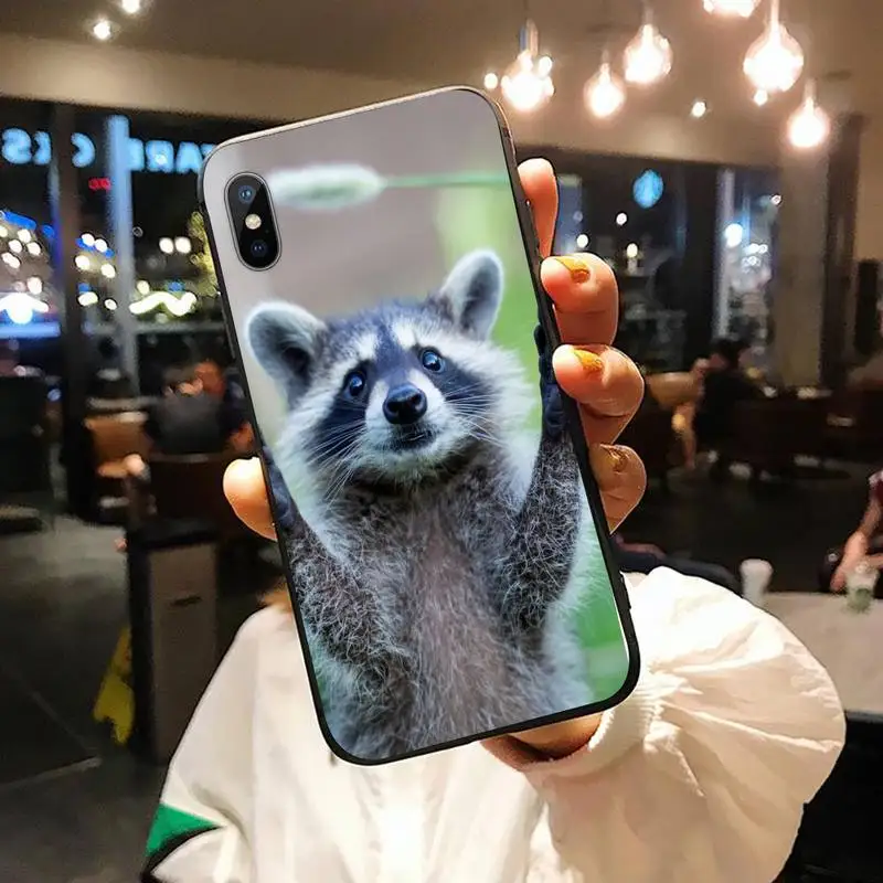

animal Raccoon painting cute Phone Case for iPhone 11 12 pro XS MAX 8 7 6 6S Plus X 5S SE 2020 XR