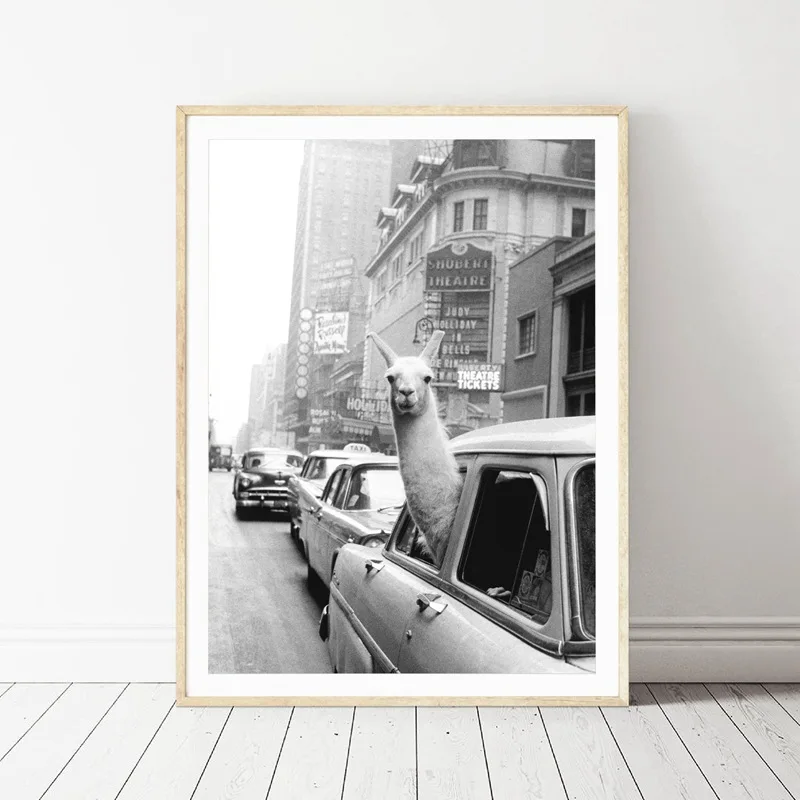 

Black And White Photo Canvas Painting Alpaca Head Out Of Window Living Room Bedroom Decorative Painting Wall Art Decor