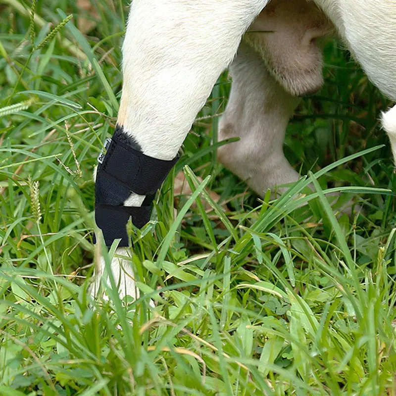 Чехол для ног собаки поддерживающий фиксатор комплект леггинсов домашних