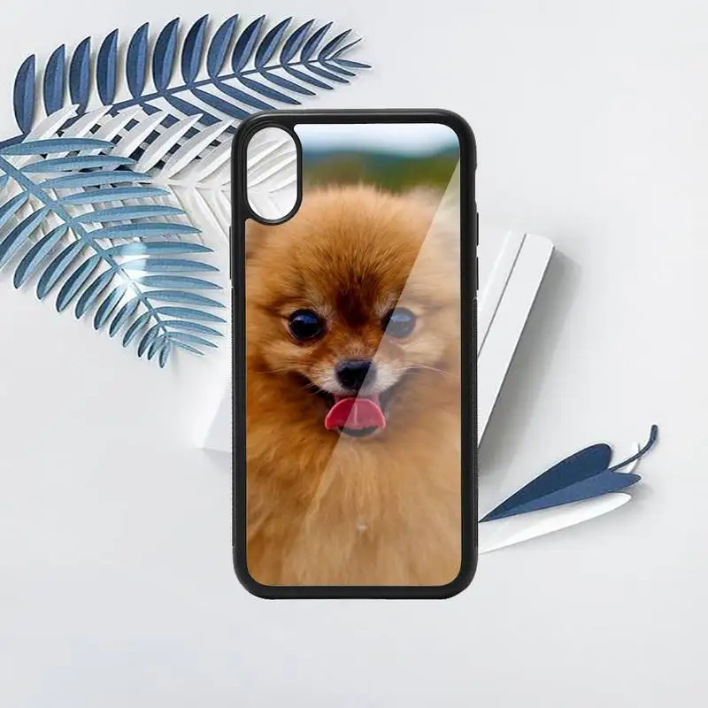 

Pomeranian Pomcute dog high quality Phone Case coque PC for iPhone 11 12 pro XS MAX 8 7 6 6S Plus X 5S SE 2020 XR