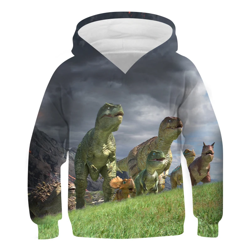 

2021 New Children's Hoodie Sweater 3D HD Printing Dinosaur Animation Harajuku Cartoon Fun Kids Tops Kids Clothes