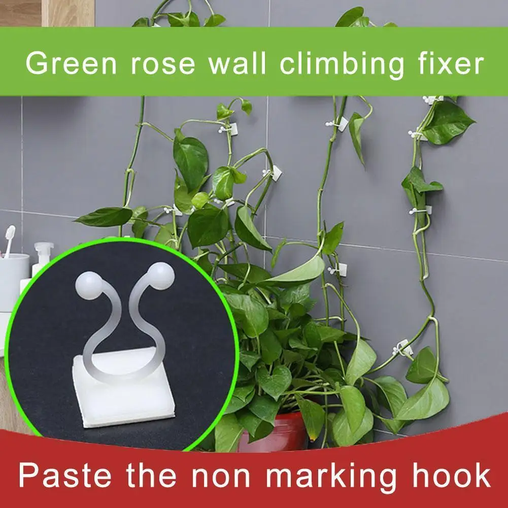 

10/20PCS Invisible Wall Vines Fixture Wall Sticky Hook Garden Plant Sticky Fixing Hook Supplies Holder Climbing Wall Clip K9Y4