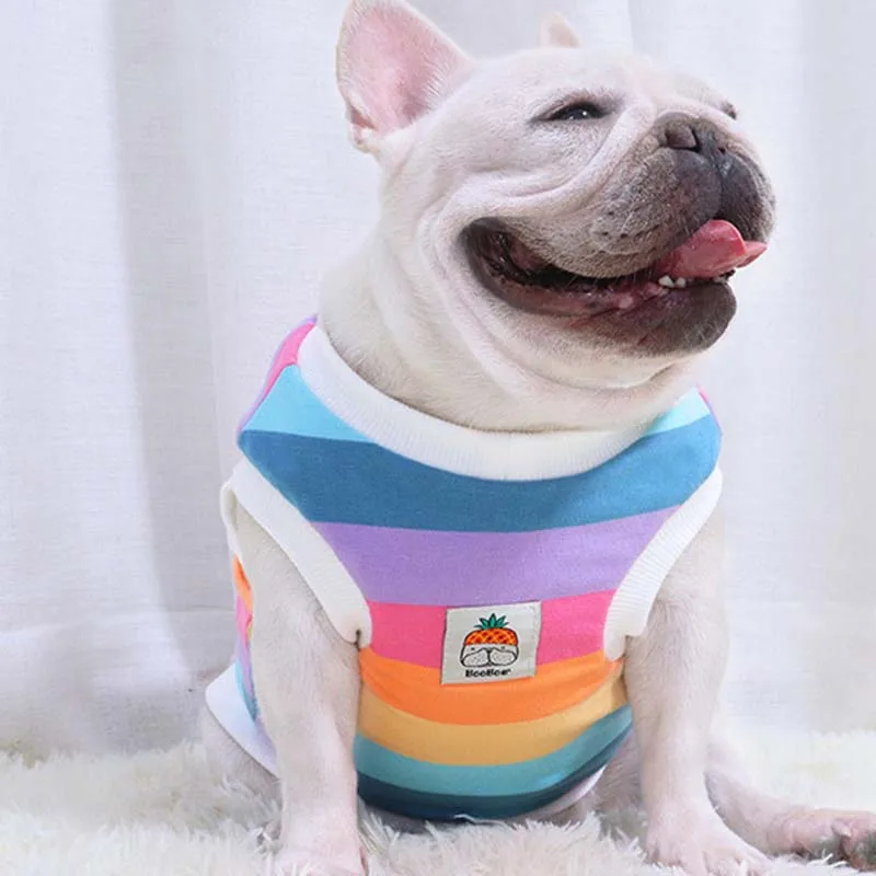 Бархатный жилет для французских боев на осень и зиму собак утолщенный зимний