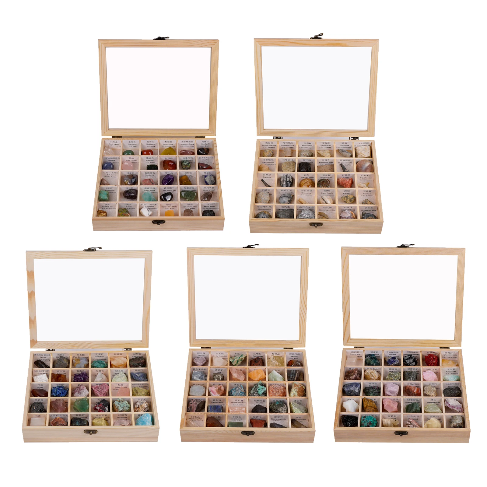 

30pcs Rock and Mineral & Deluxe Collection Box Science Geography Education
