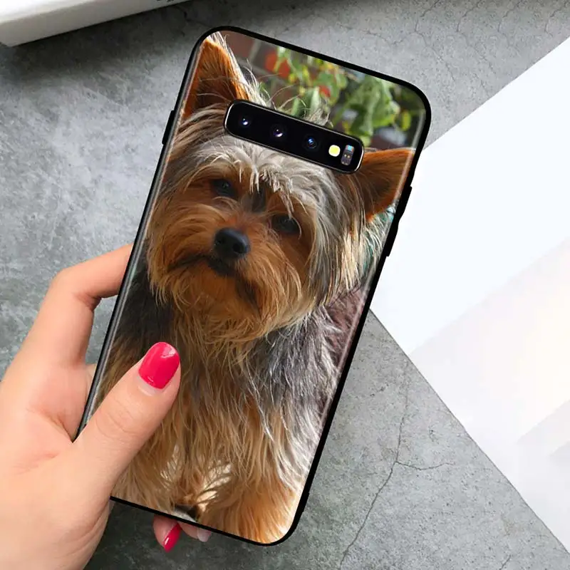 

Terrier Yorkie Dog for Samsung Galaxy S21 Ultra Plus Note 20 10 9 8 S10 S9 S8 S7 S6 Edge Plus Black Phone Case