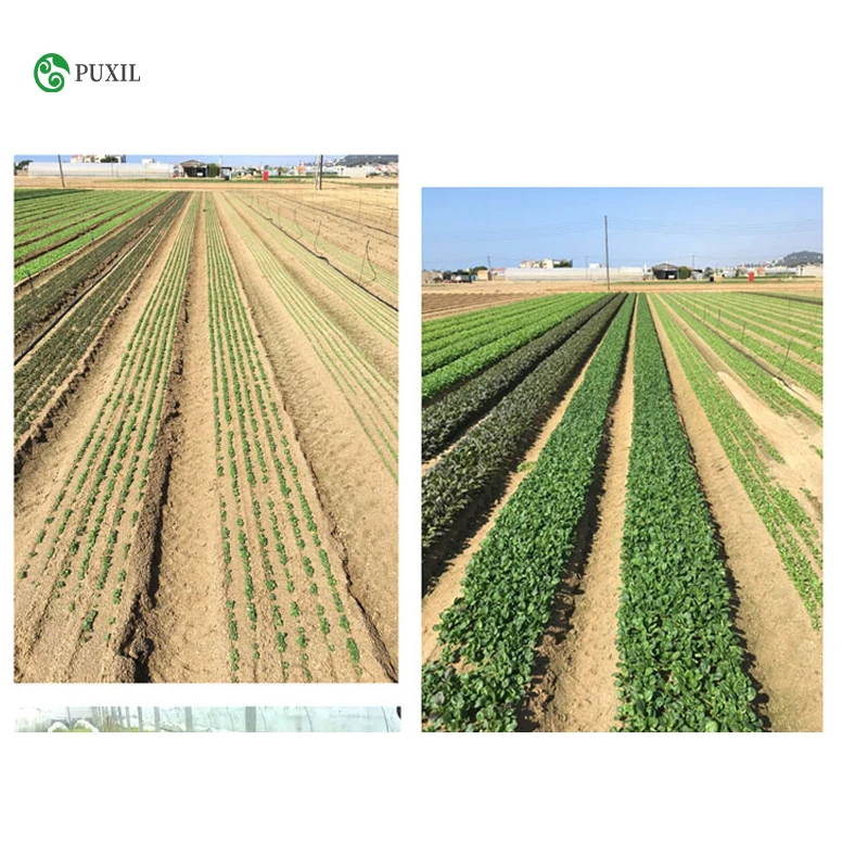 Точная посадочная машина 4 ряда | Инструменты