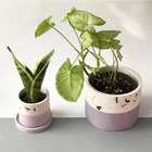 Форма большого размера для бетонных цветов, 15 см, круглые формы для цементных горшков для суккулентных растений, разные размеры, бетонные формы для плантатора