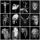 EverShine 5D алмазная вышивка полная выкладка животные алмазная мозаика картины стразами рукоделие подарок декор для дома