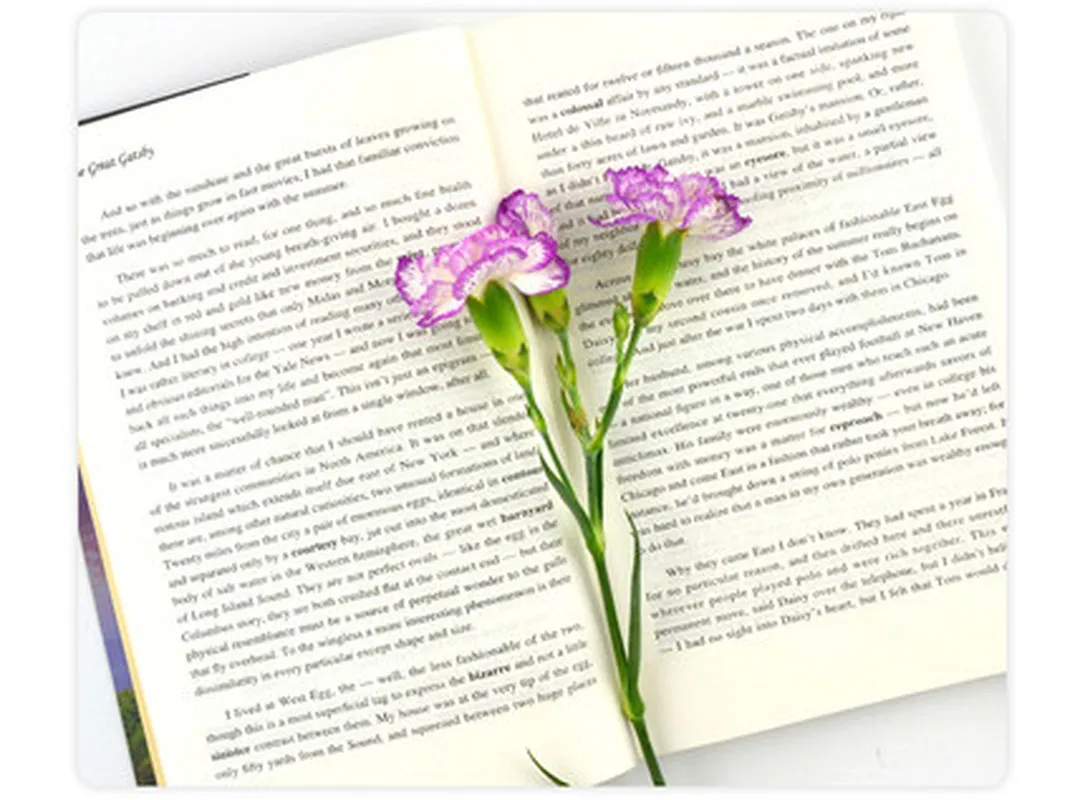 2 книги/набор Английский Оригинальный роман мировая Иностранная литература