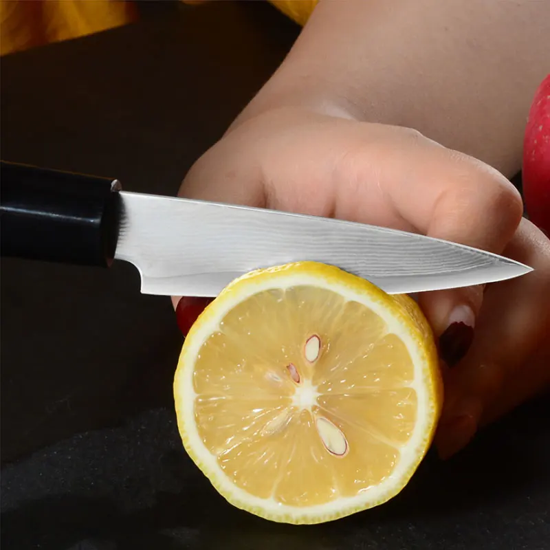 Набор кухонных ножей Damascus Steel 5 шт. набор Chef Japanische Messer Damaskus аксессуары ABS ручка Nakiri