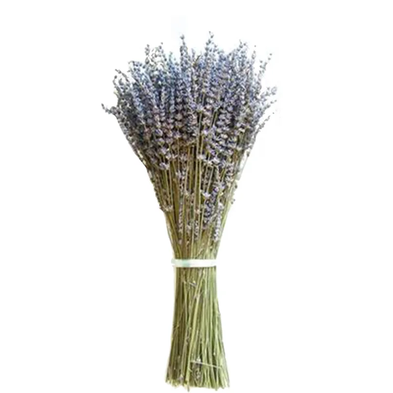 100 Sticks Beautiful Natural Lavender Bouquet Dried Flowers Immortal Flower Decorative Garden Living Room Decor