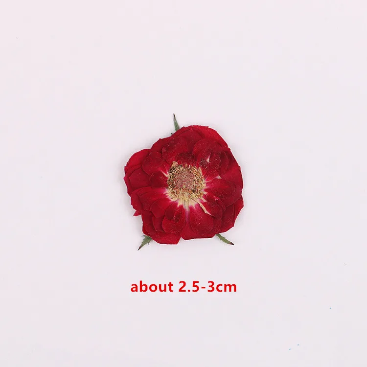 Натуральная неизменная прессованная Роза 16 шт. настоящие засушенные цветы