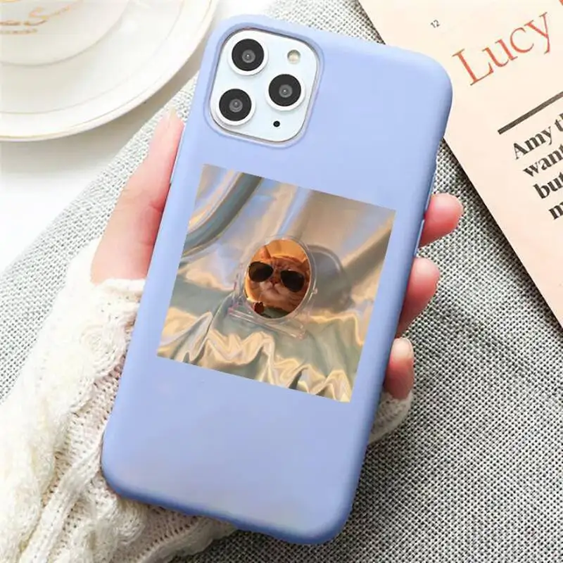 

Cute animal cat art design Phone Case Candy Color Blue for iPhone 11 12 pro XS MAX 8 7 6 6S Plus X 5S SE 2020 XR