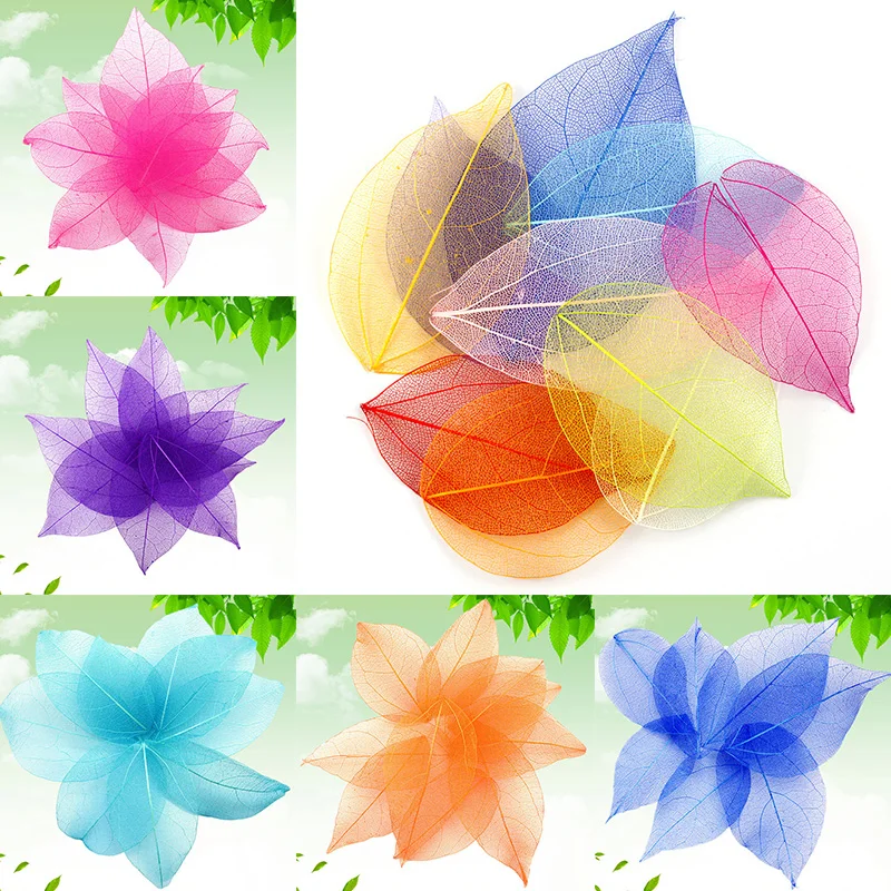 

20Pcs Multicolor Natural Skeleton Leaves Pressed Flower Scrapbooking Decor DIY Handmade Material Wedding Party Decor Supplies