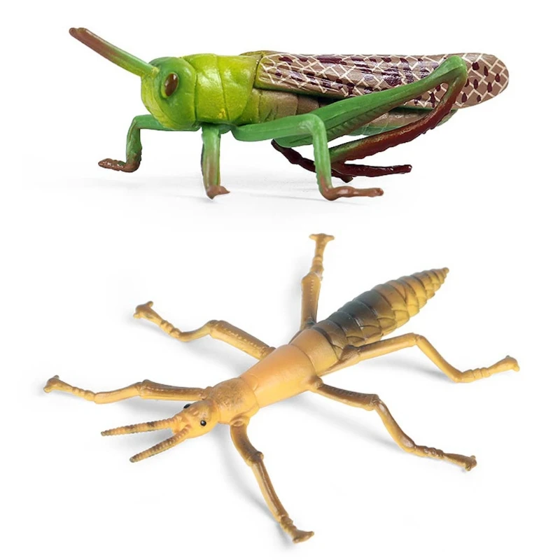 

Simulation Solid Static Animal Model Ornaments Realistic Locust/Stick Insect Toy