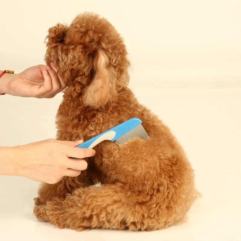 

2021 Pet comb, cat and dog long needle dense tooth comb, plastic+stainless steel material1