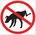 Металлическая вывеска для домашних животных, 12x12 дюймов