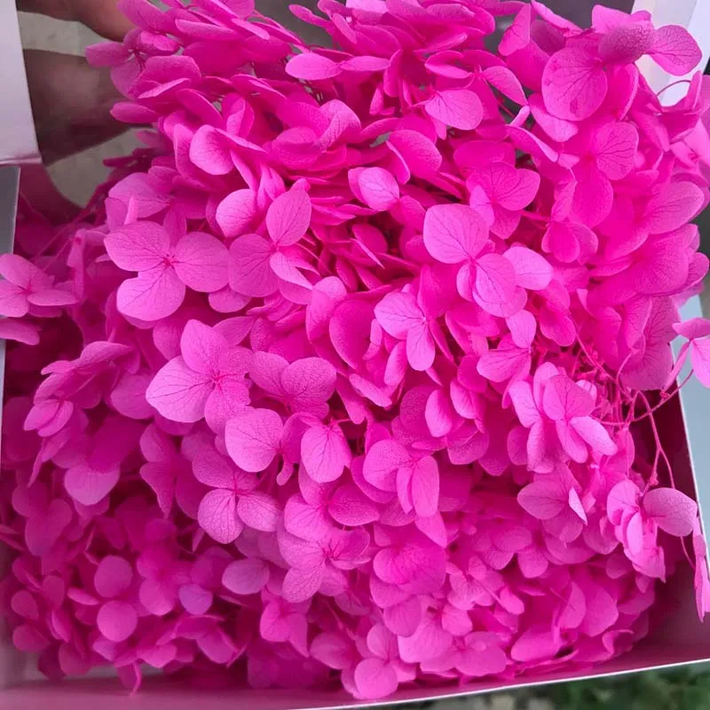 20 г консервированные цветы калини макроцефалия, сухой Натуральный Свежий навсегда Гортензия этернель Роза, DIY Бесконтактный цветок материал - Цвет: 09