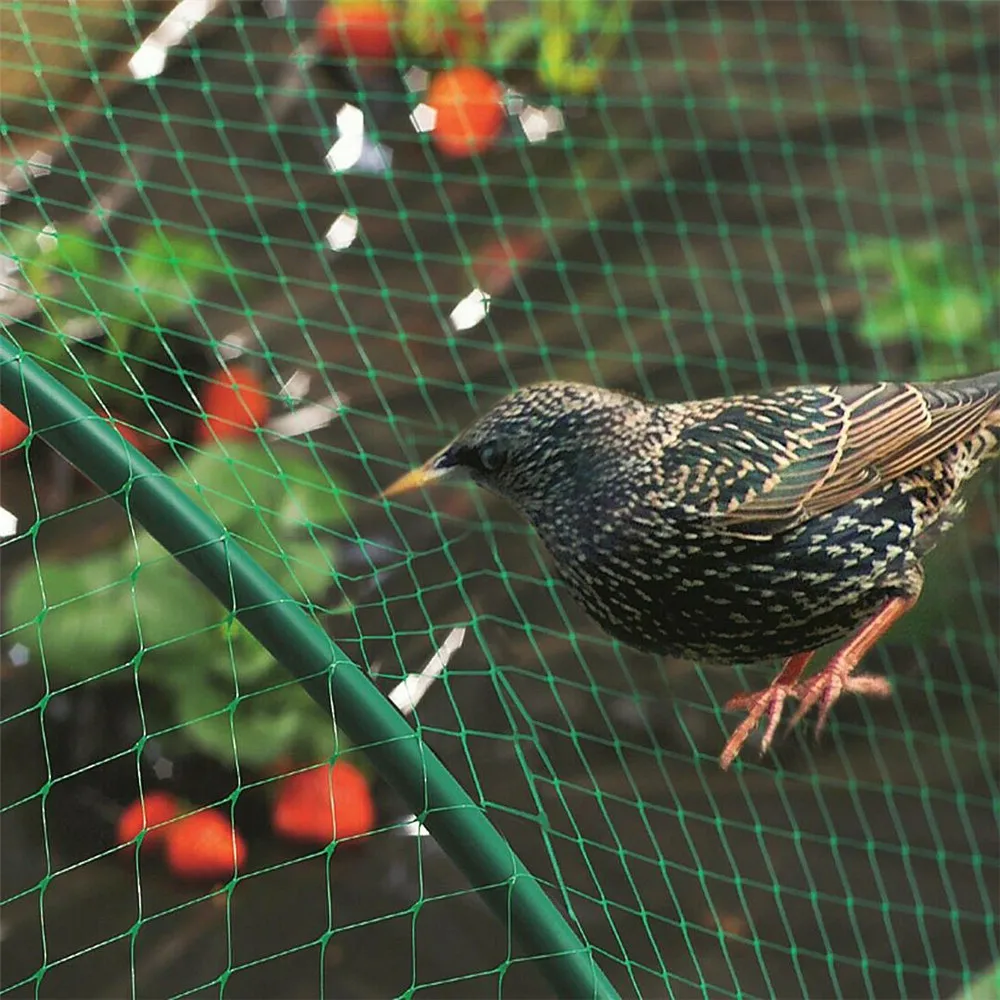 

Polyethylene Garden Protection Net Tool Anti Bird Netting Protect Fruit Vegetables And Seedling Crop Pond Garden Protecting Tool