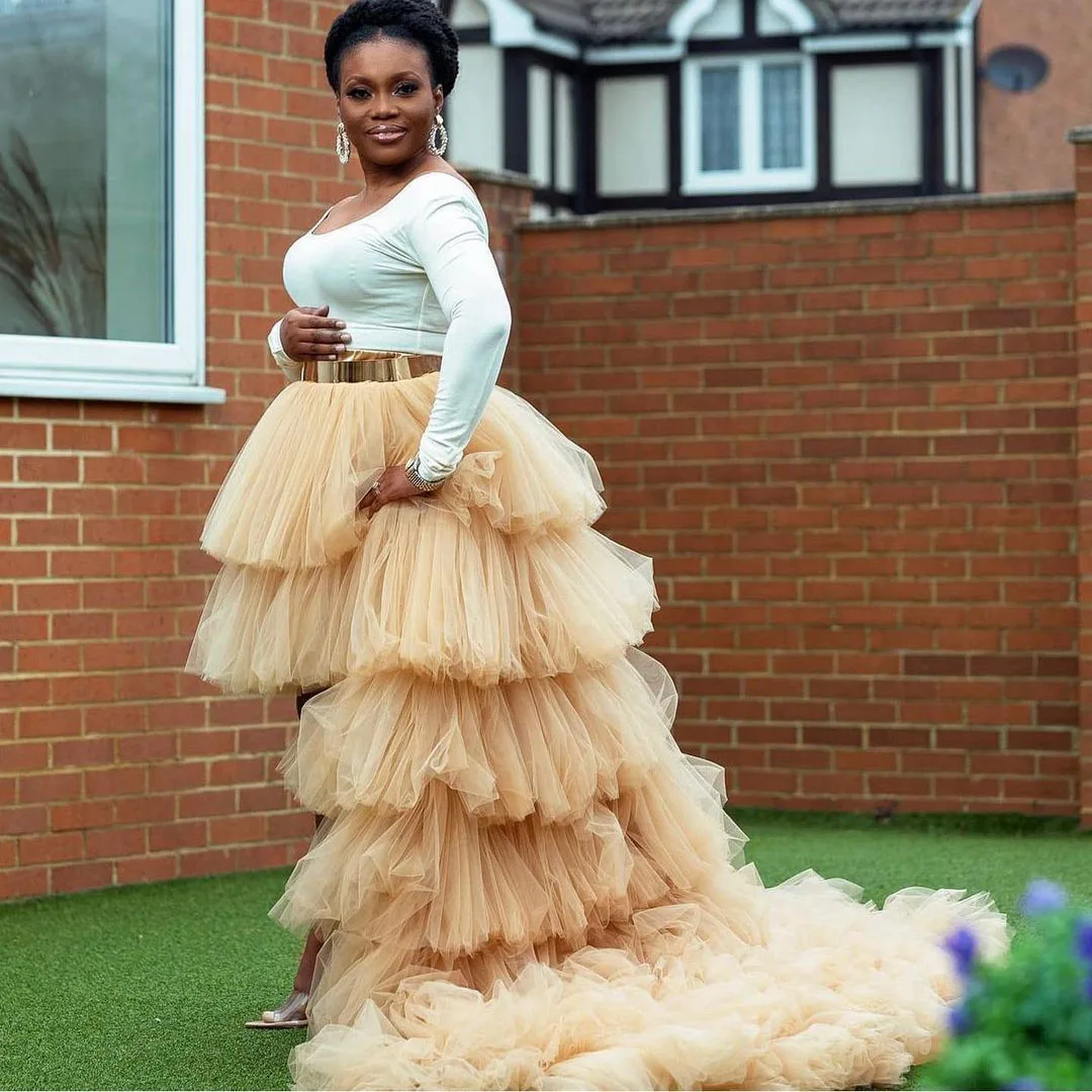 

Champagne Casual Classic Tulle Skirt Ruffles Layered Elastic Tulle Hi-Lo Dresses Birthday Party Photography Custom Made