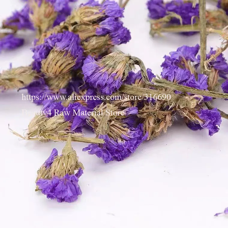 Фиолетовый морской Лавандовый миозотис сильватика|myosotis forget me not|myosotis |