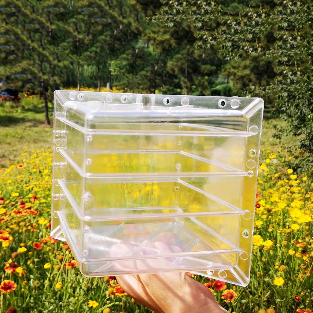 Форма для роста арбуза квадратной формы форма фруктов профессиональный садовый