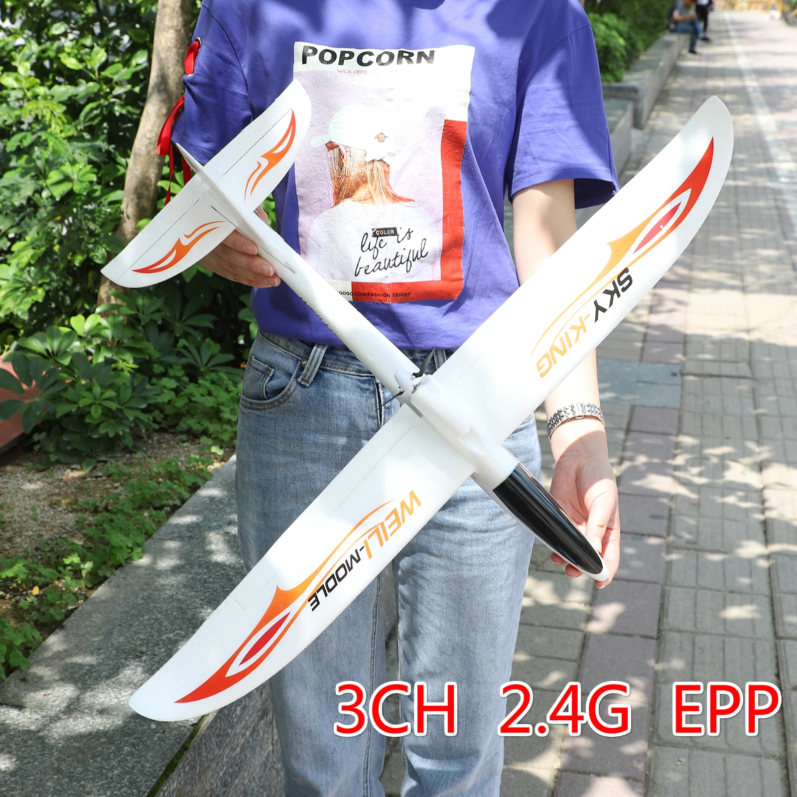 WLtoys F949/F959 RC самолет 2,4G 3CH размах крыльев фиксированное крыло RTF Дрон Летающая Модель Самолеты Радиоуправляемый игрушечный самолёт для детей