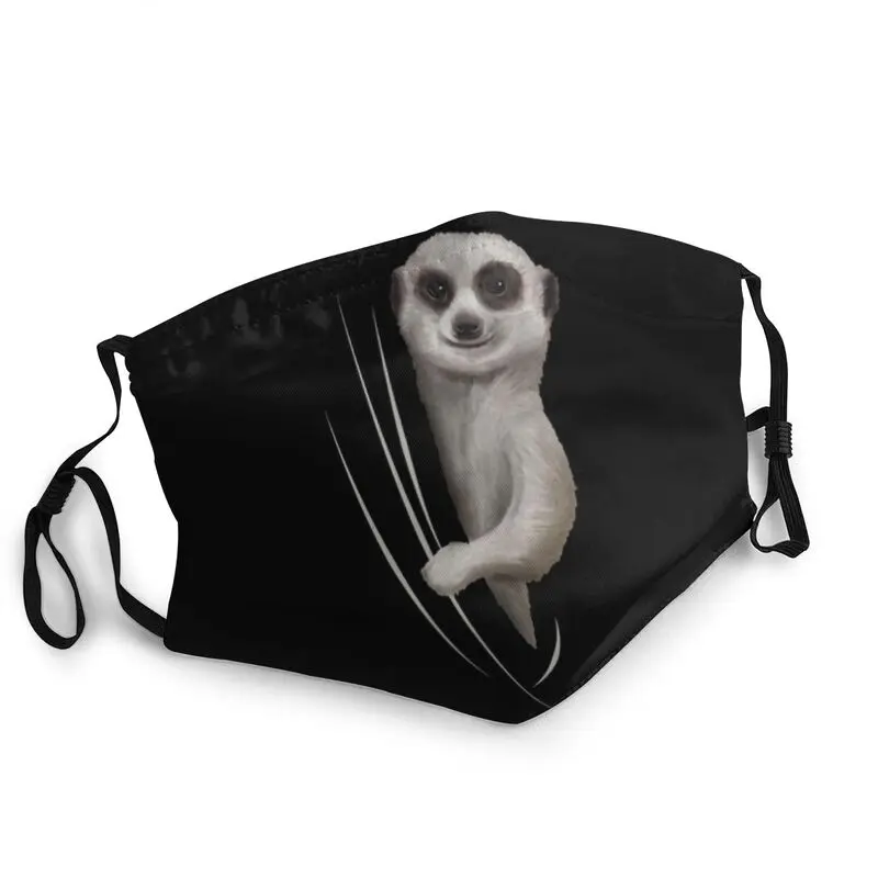 

Meerkat Coming From Inside Non-Disposable Face Mask Unisex Adult Animal Dustproof Protection Cover Respirator Mouth Muffle