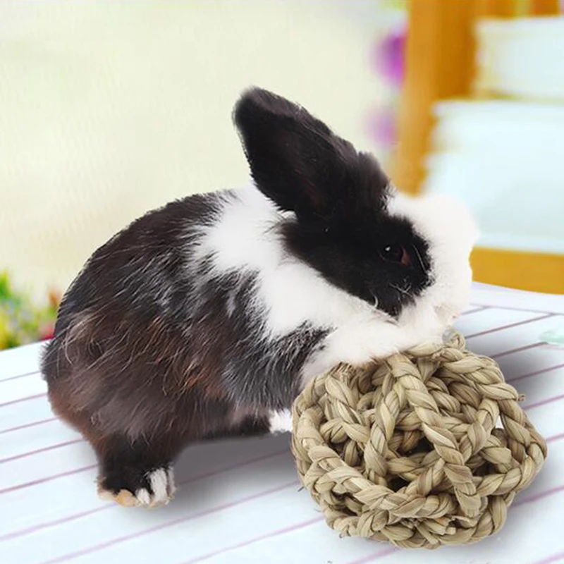 Креативный хомяк жует игрушки для мелких животных собак и кошек укусы молярные